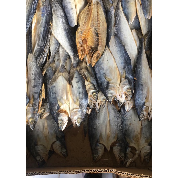 

Ikan Talang Besar Asin