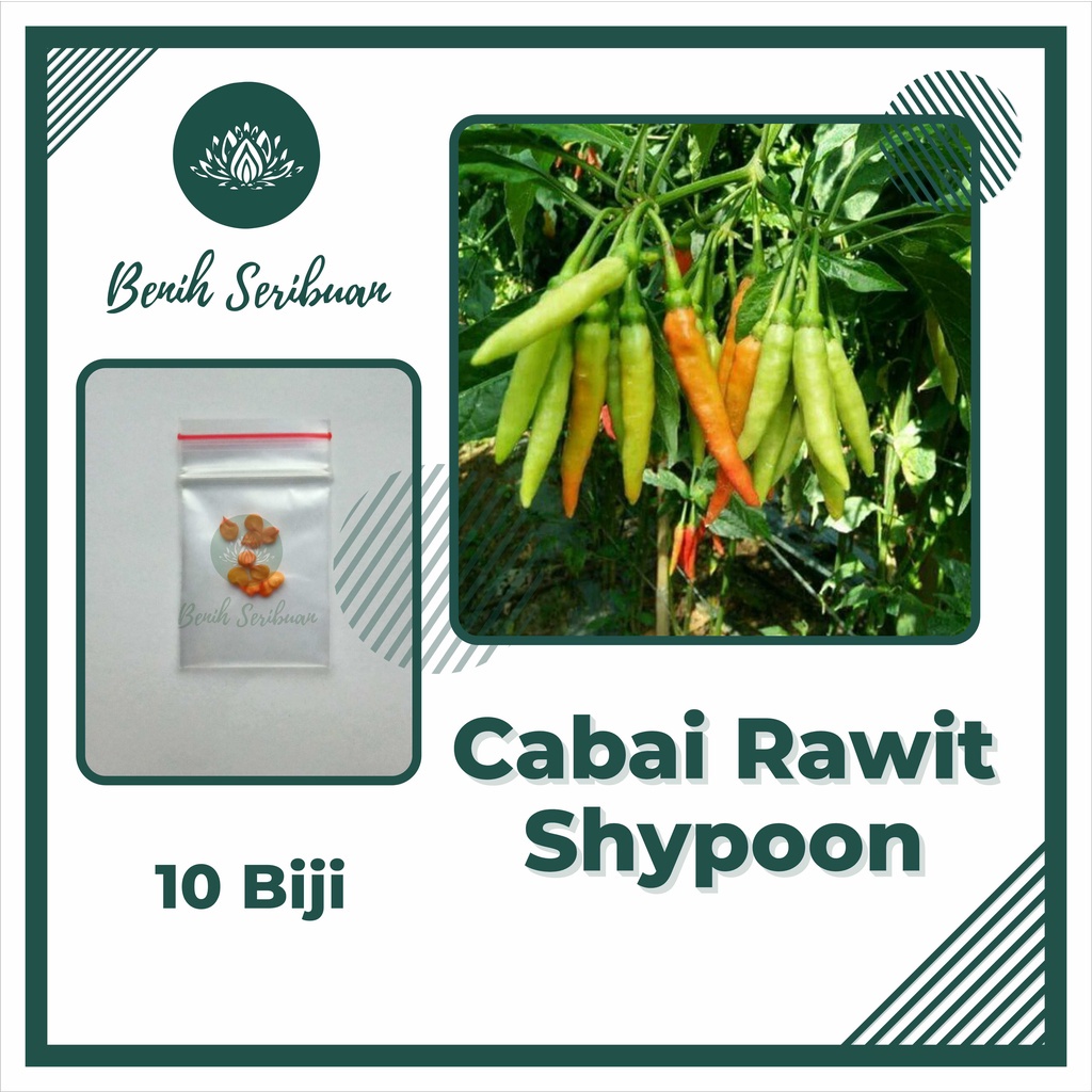 BS-BYL Bibit Sayuran Benih Sayur Buah Hibrida Unggul Buncis Cabe Rawit Bawang Jagung Kacang Lobak Pare Oyong Timun Terong Tomat Wortel dll-CABE RAWIT SHYPOON