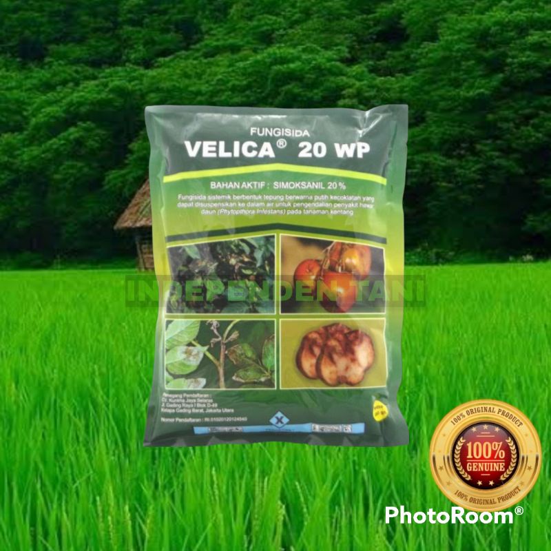 FUNGISIDA - VELICA 20WP FUNGISIDA SISTEMIK UNTUK BUSUK DAUN,BERCAK DAUN