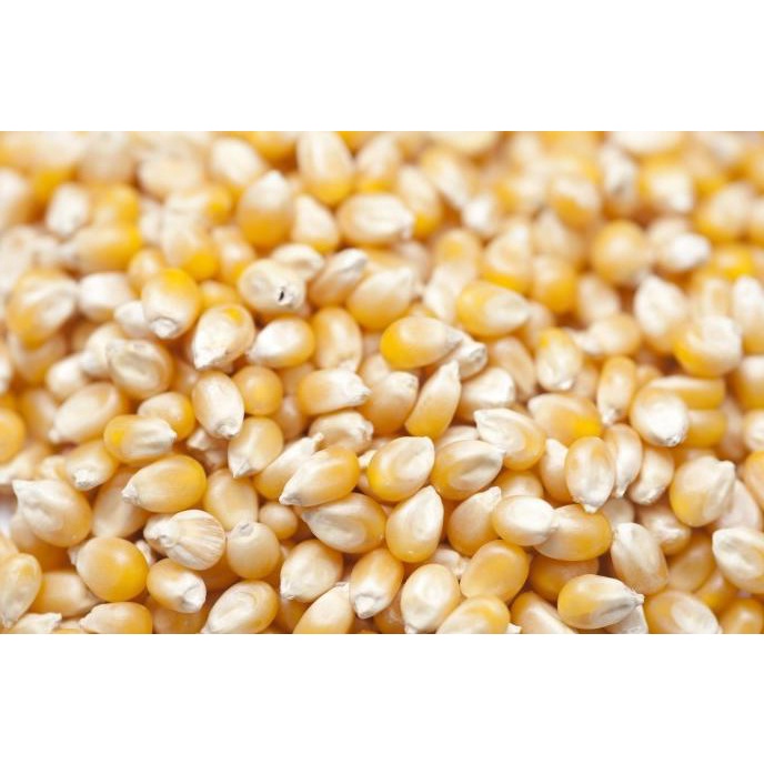 

Biji Jagung Popcorn 200G