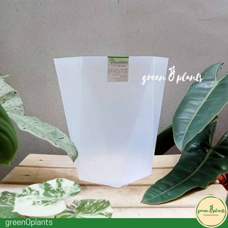 Pot TABITHA Diamond 30 Bening Berlubang