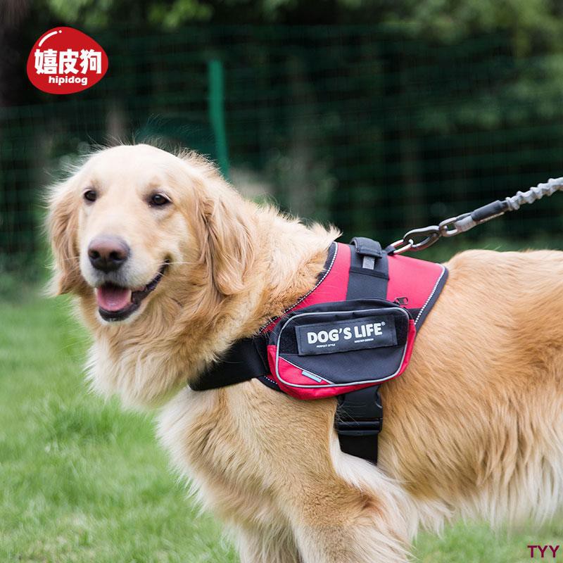Tyy Ledakan Bukti Menjalankan Saddle Bag Rantai Anjing Golden