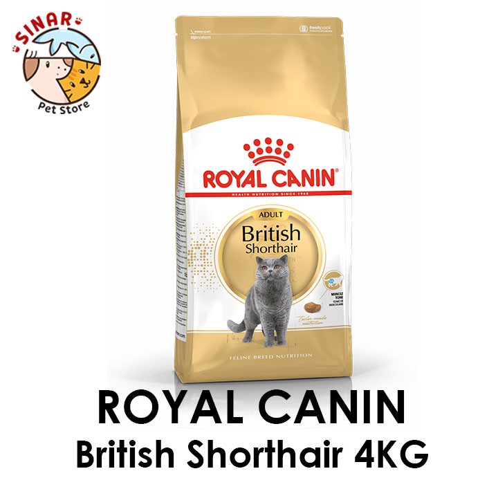 Royal Canin British Shorthair Adult 4KG Makanan Kucing Dry Cat Food Pakan Pelet