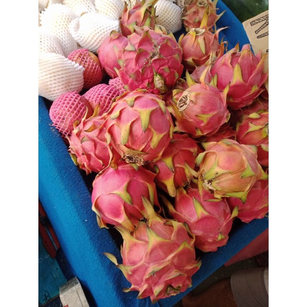 

Buah Naga Fresh 1Kg