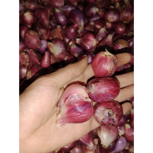 BAWANG MERAH BREBES ASLI SUPER  1kg