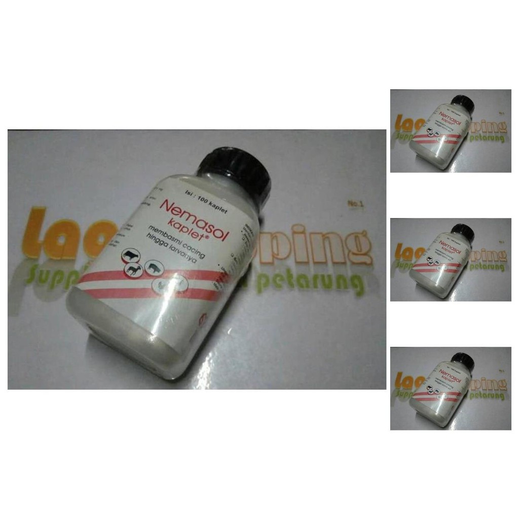 nemasol 100 kaplet / membasmi cacing hingga larva