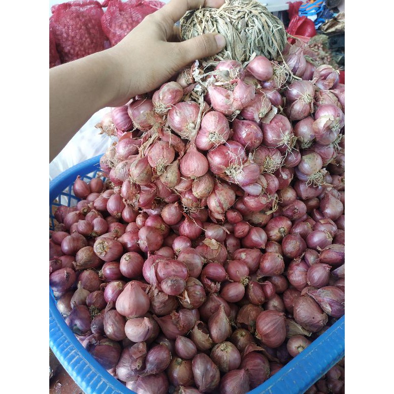 

BAWANG MERAH 1KG