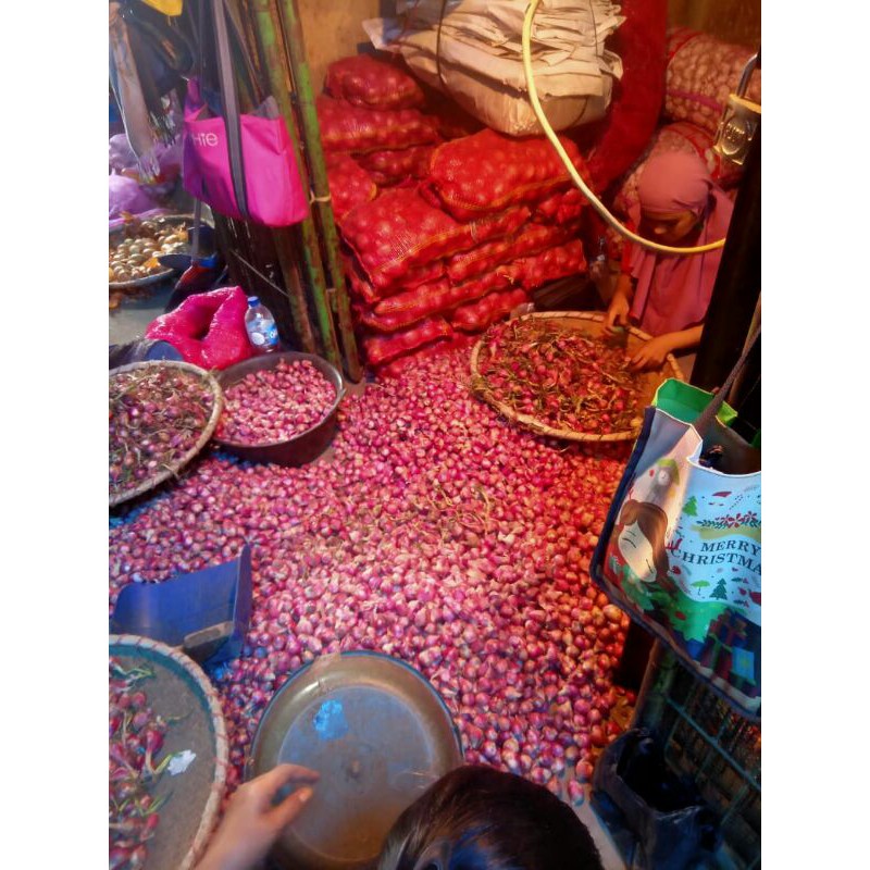 

bawang merah