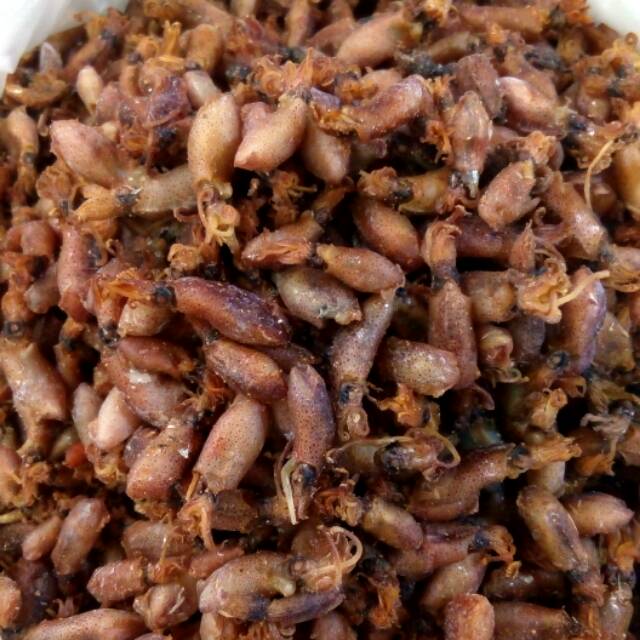 

SOTONG/CUMIBABY,(TIDAK ASIN)SUPERRRRR