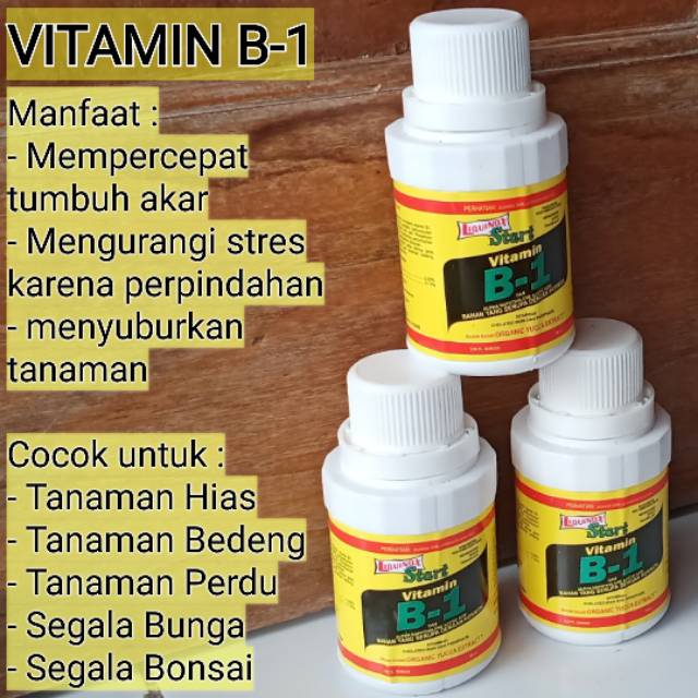 Vitamin Segala Tumbuhan B 1 Indonesia