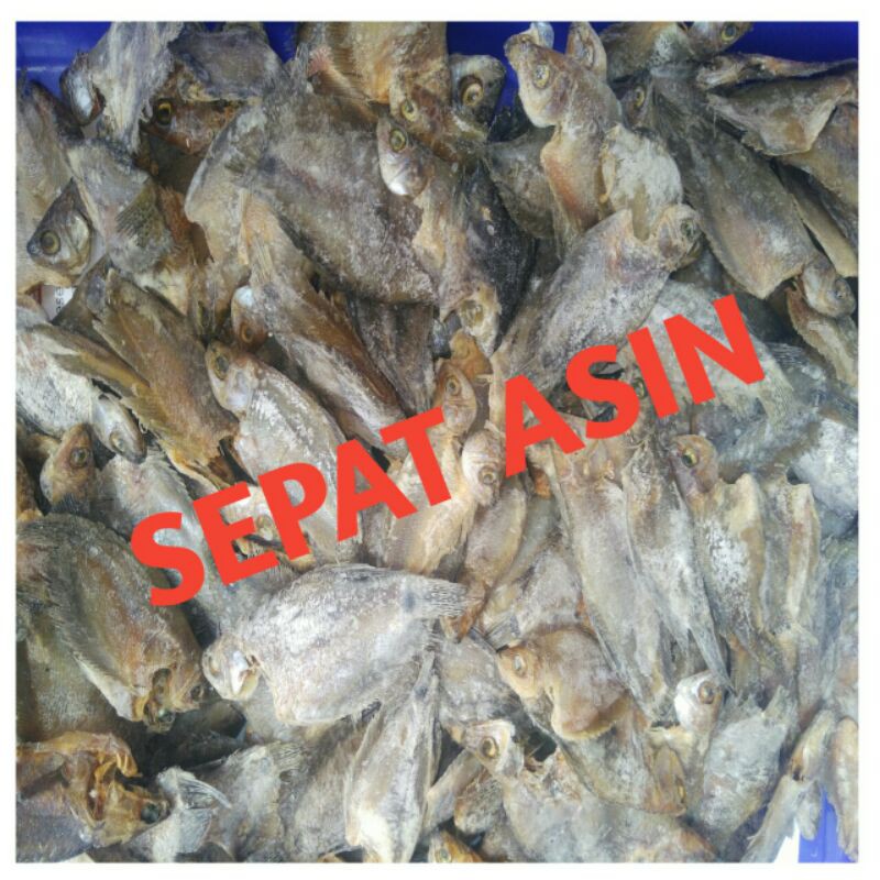 

Ikan Sepat Asin