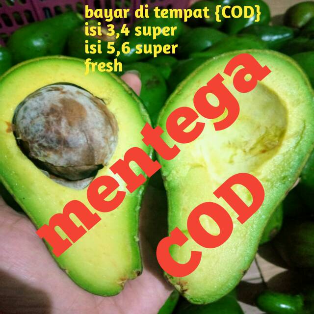 

ALPUKAT MENTEGA SUPER SIZE '4 dan jamin fresh