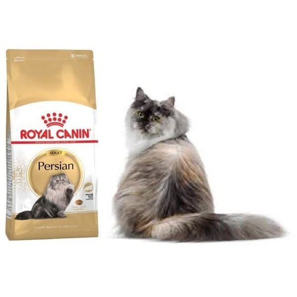 Royal Canin Adult Persian 10kg Persian Adult - Makanan Kucing Dewasa