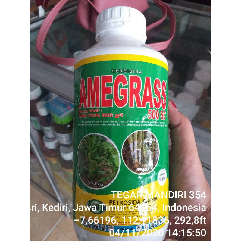 HERBISIDA AMIGRAS 1LITER Racun rumput pada tebu amegras 500sc 1liter / racun gulma herbisida amigras