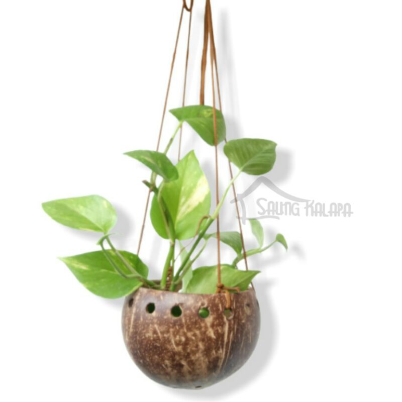 pot bunga gantung/pot bunga tali gantung/pot bunga di gantung tali injuk