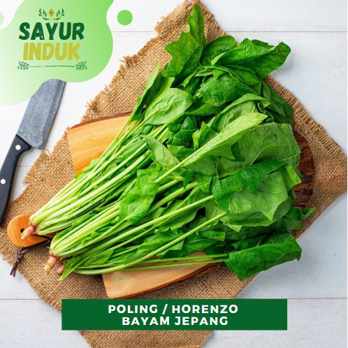 

Sayur Induk - Poling Horenzo 250 Gram Fresh Grade A Bayam Jepang Segar