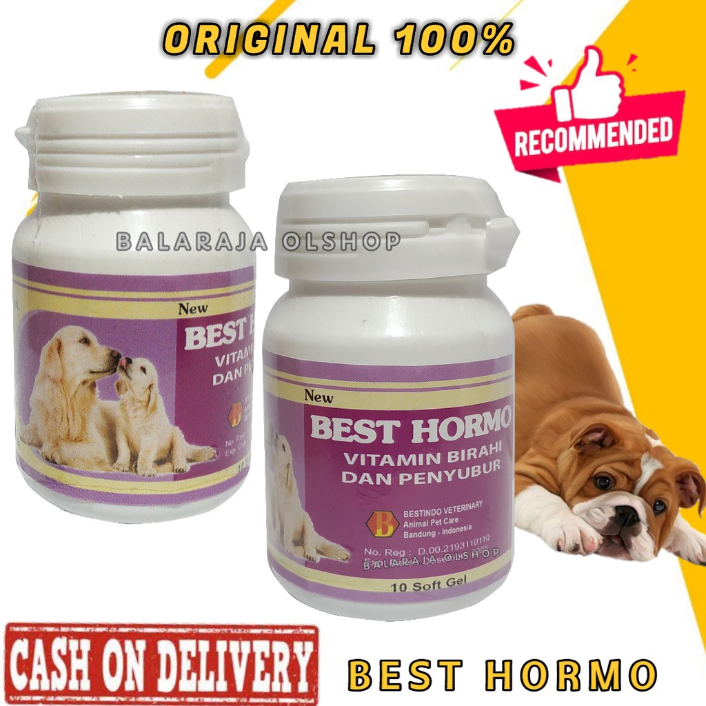 Best Hormo Softgel Vitamin Kawin Anjing Obat Penyubur Birahi