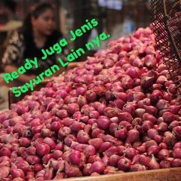 

BAWANG MERAH BESAR - 1KG BERKUALITAS