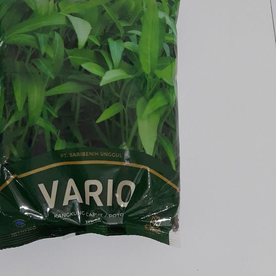 ✬ Benih Kangkung 1Kg - Vario ❃