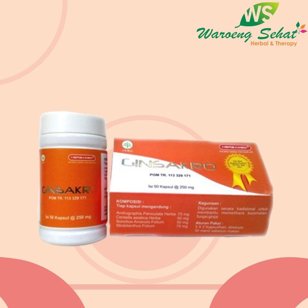 Ginsakro/obat gangguan ginjal