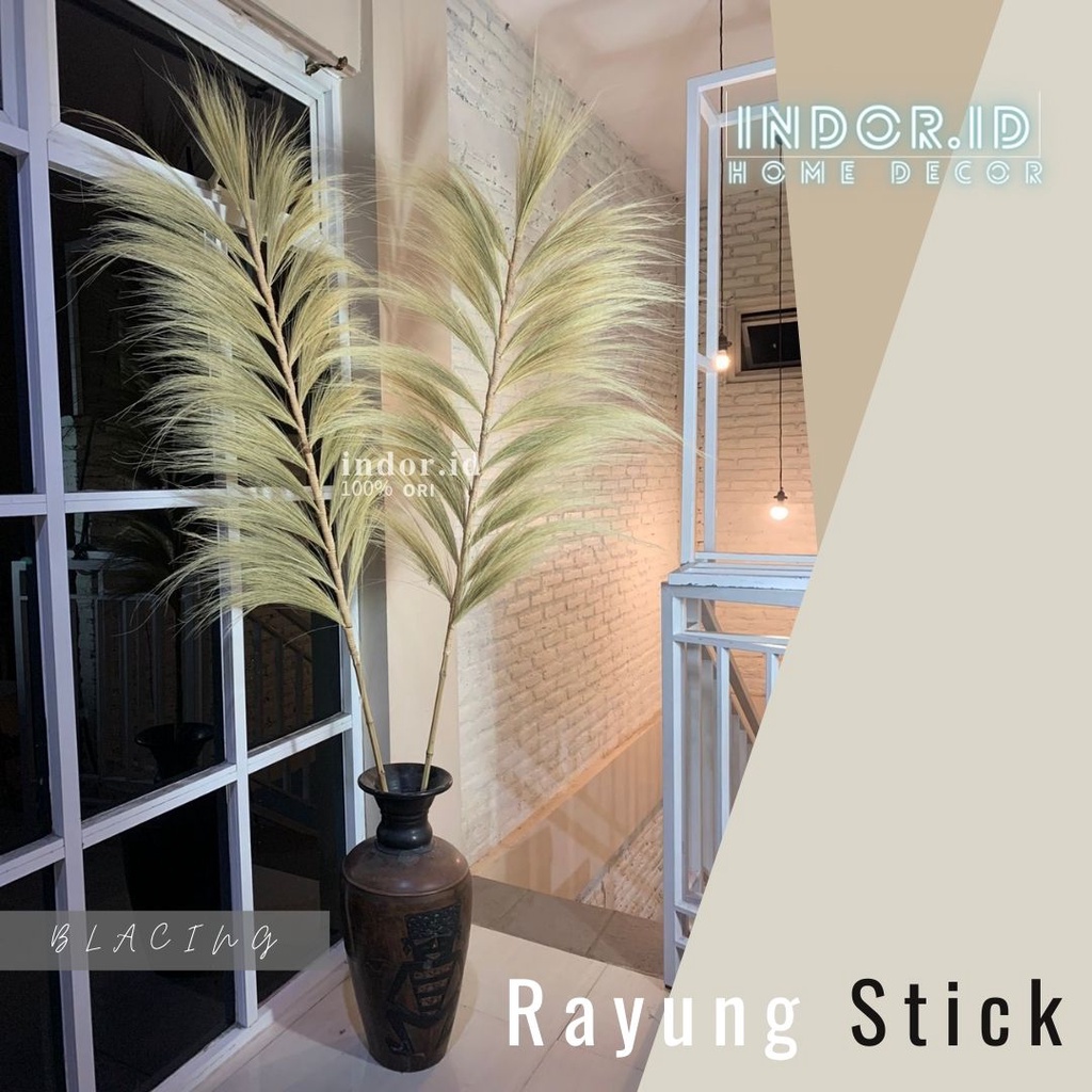 indor.id Rayung KERING - RAYUNG Panjang - Rayung NATURAL - Rayung RUSTIC Dekorasi