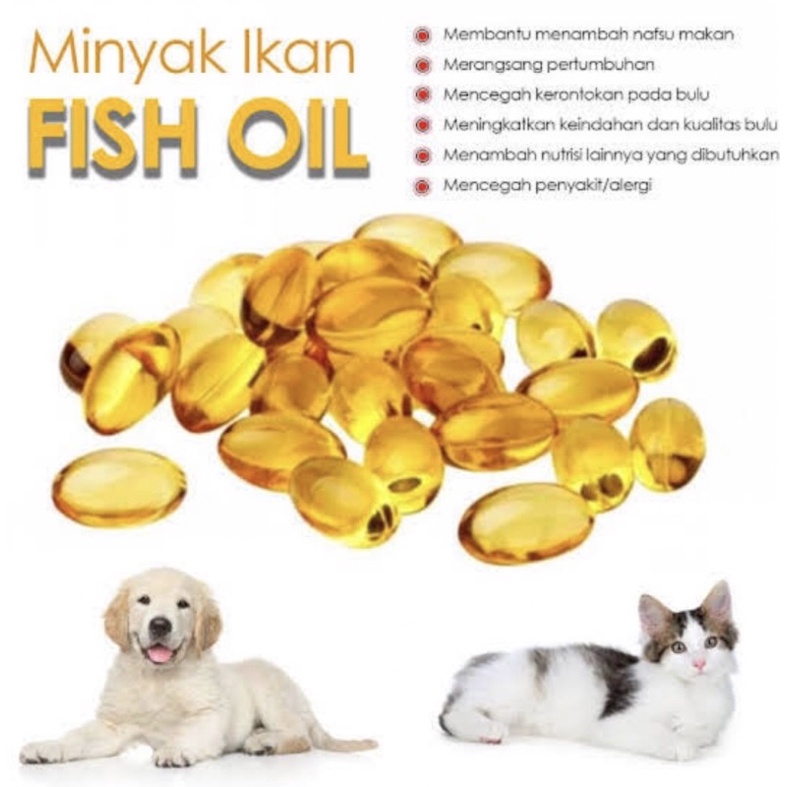 MINYAK IKAN UNTUK KUCING ECER
