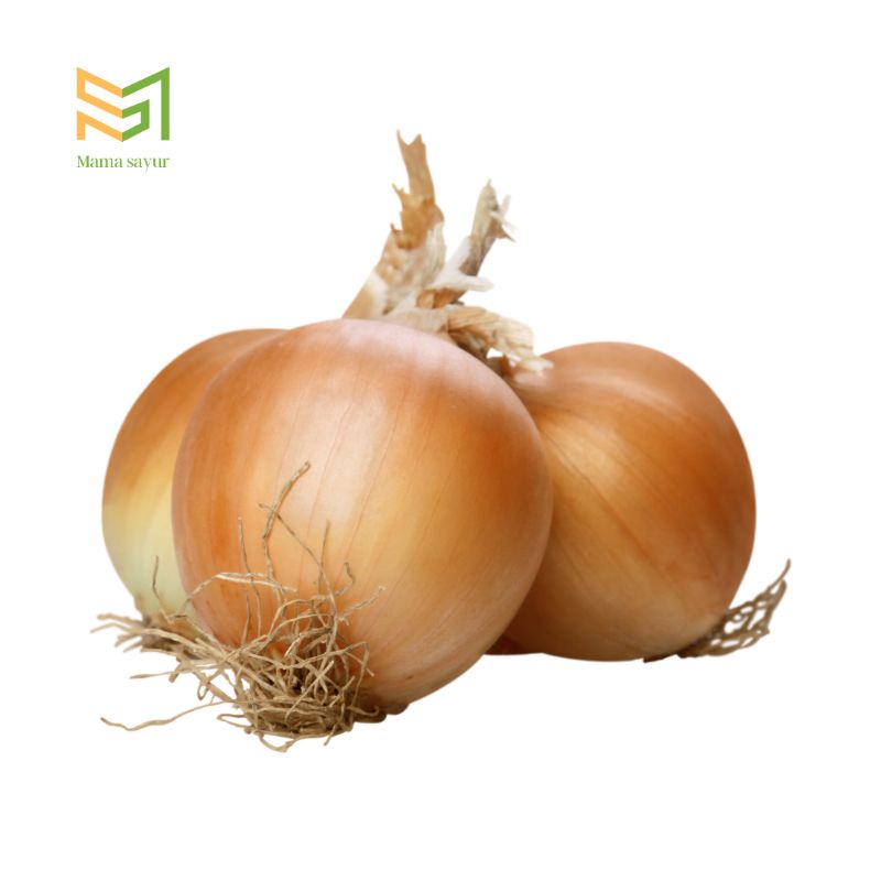 

Bawang bombai besar per pack