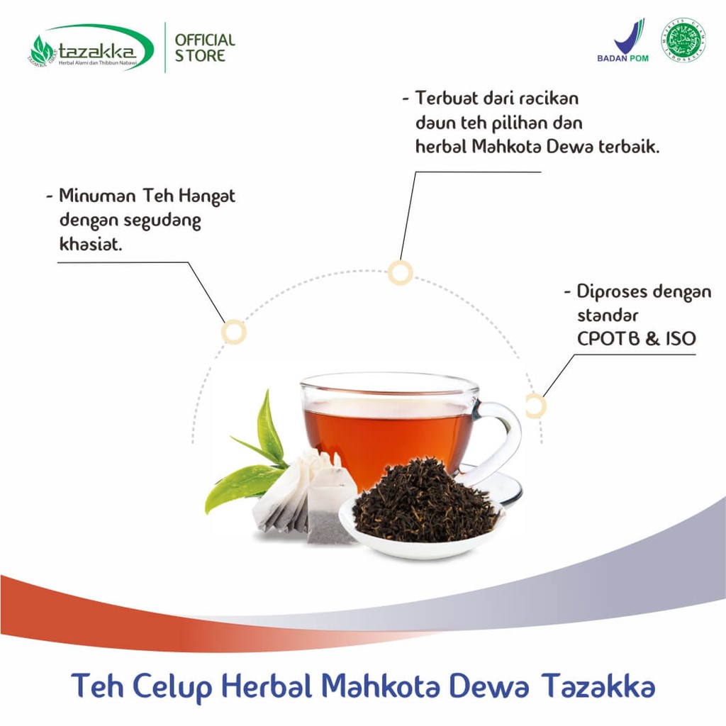 Obat herbal khasiat ampuh mengobati rematik asam urat nyeri sendi pegal linu dengan teh mahkota dewa