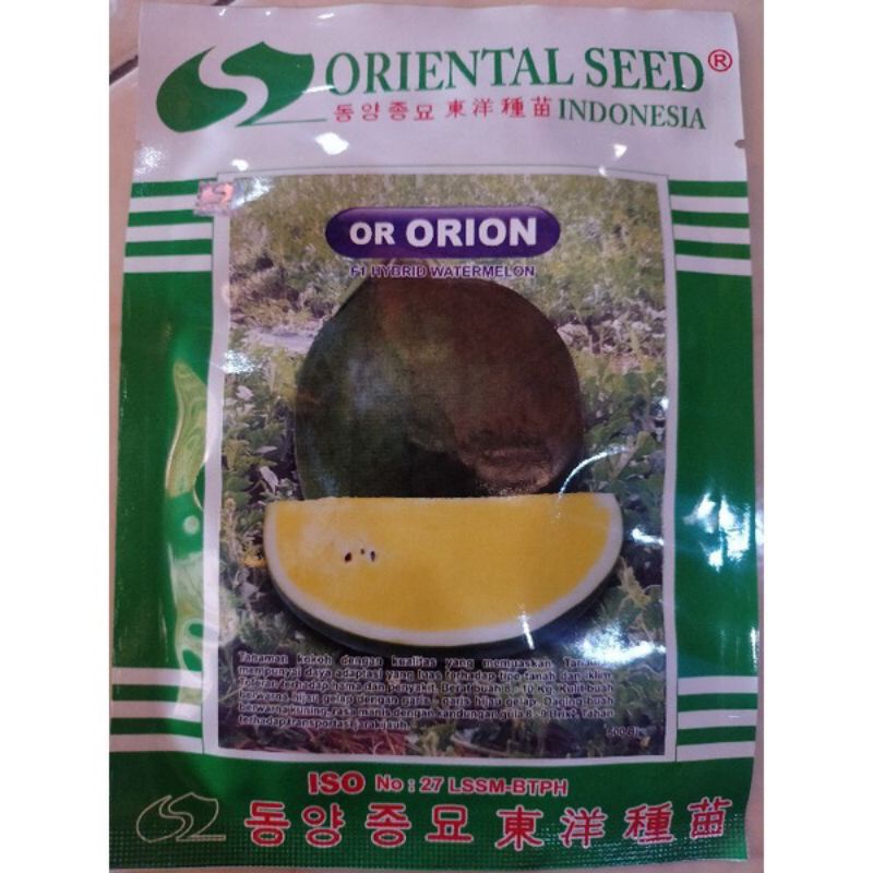 50++ BIJI/BENIH SEMANGKA KUNING OR ORION TANPA BIJI KUALITAS SUPER UNGGUL