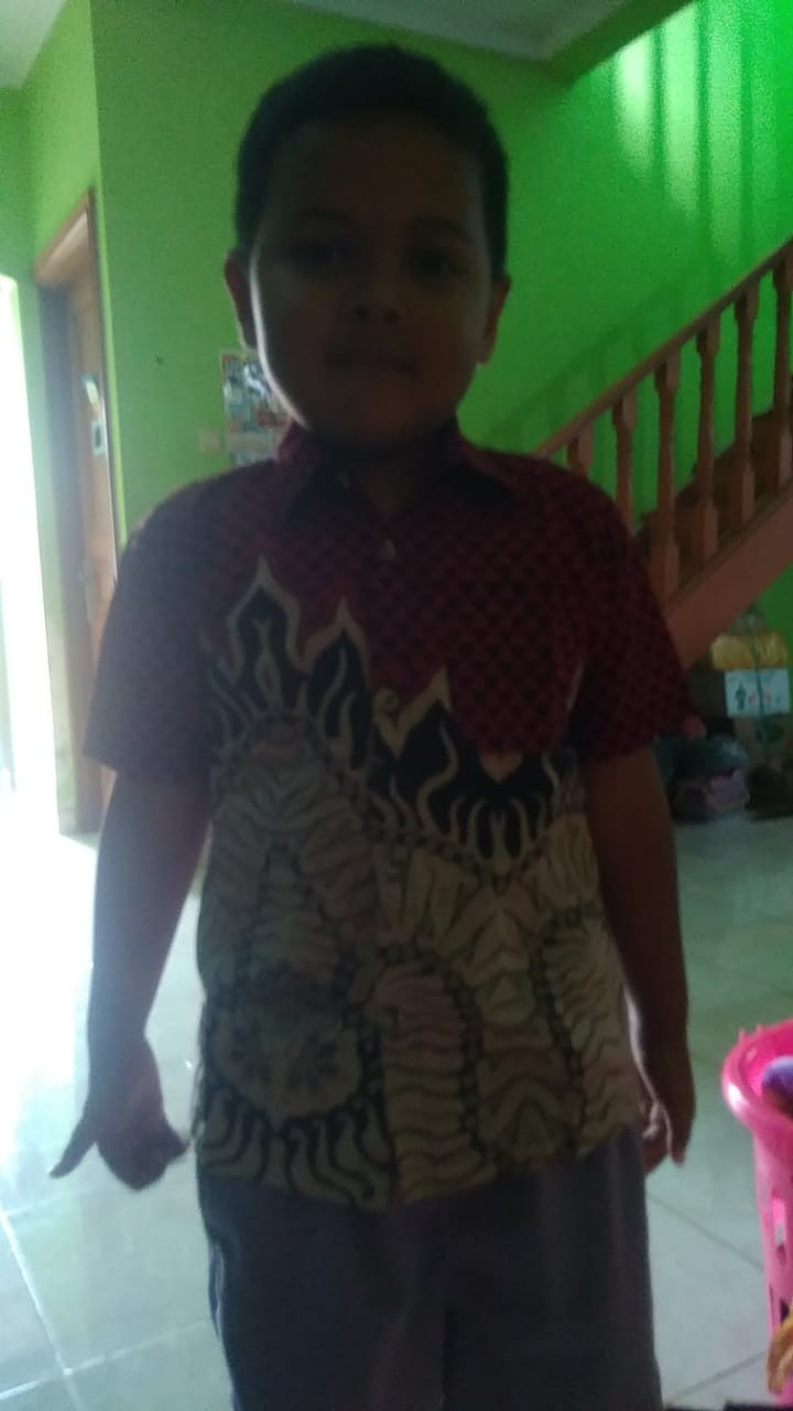 Baju Batik Anak Cowo Kemeja Lengan Pendek