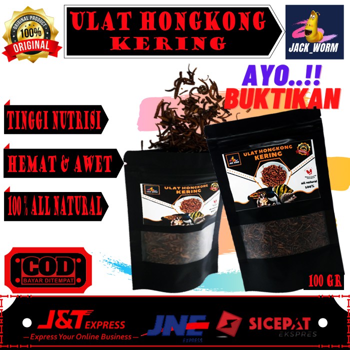 ULAT ULET HONGKONG KERING MAKANAN PAKAN HEWAN PELIHARAAN KESAYANGAN REPTIL GECKO LANDAK MINI BREADED