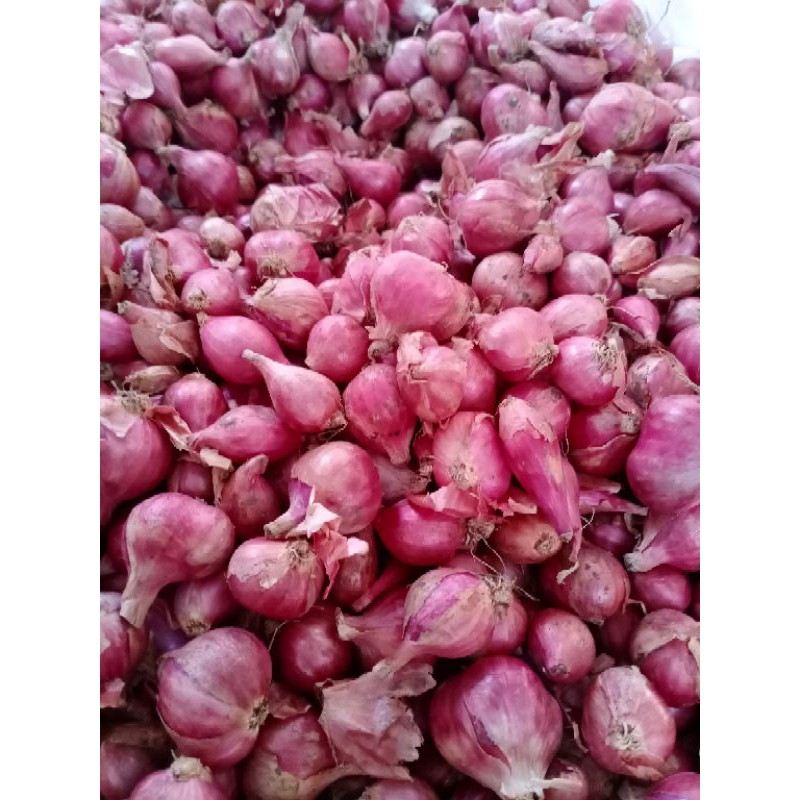 

Bawang merahfresh