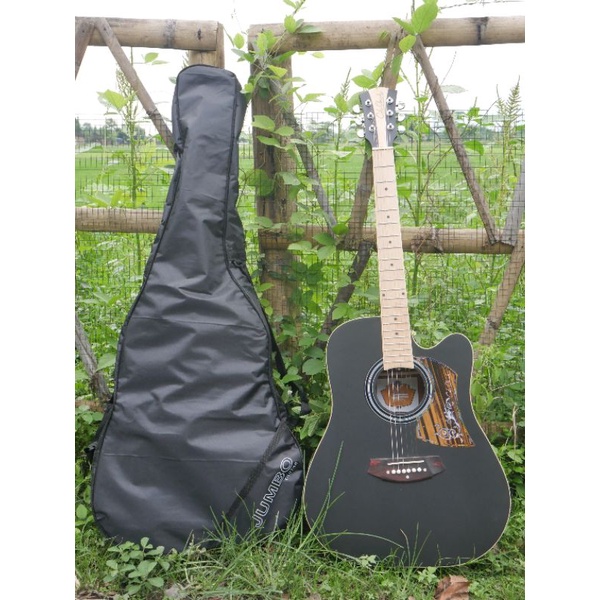 Gitar Akustik Cole Clark Custom Tanam Besi Gratis Packing Kayu