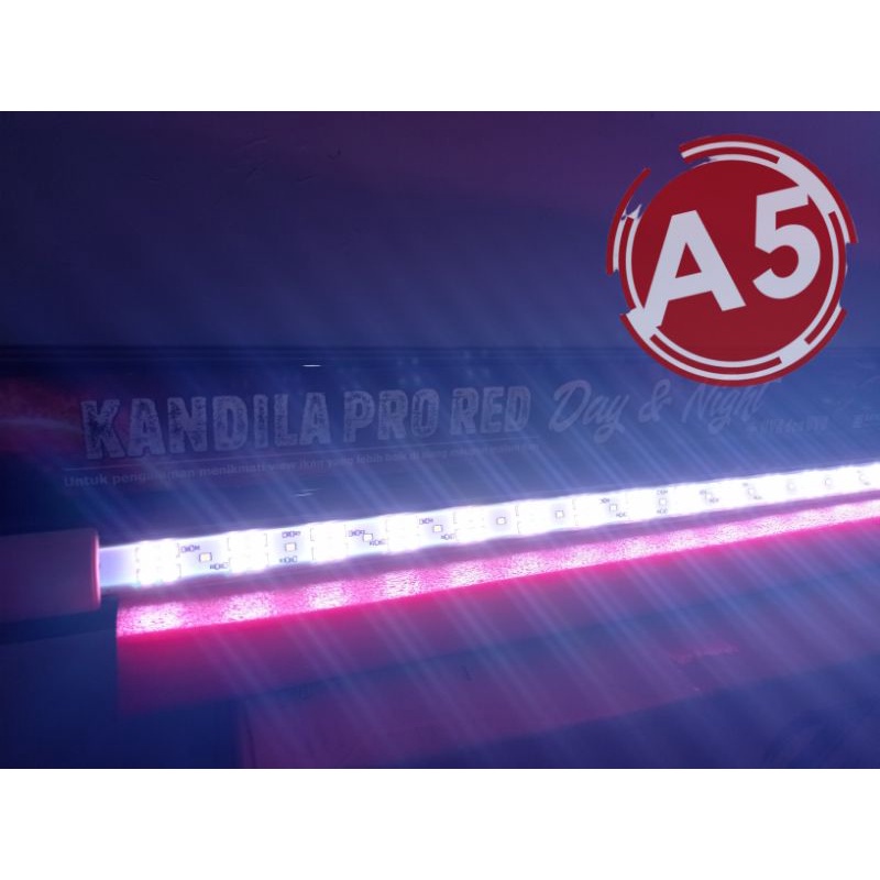 Lampu LED TANNING Aquarium KANDILA DAY AND NIGHT 800, 1000, 1200