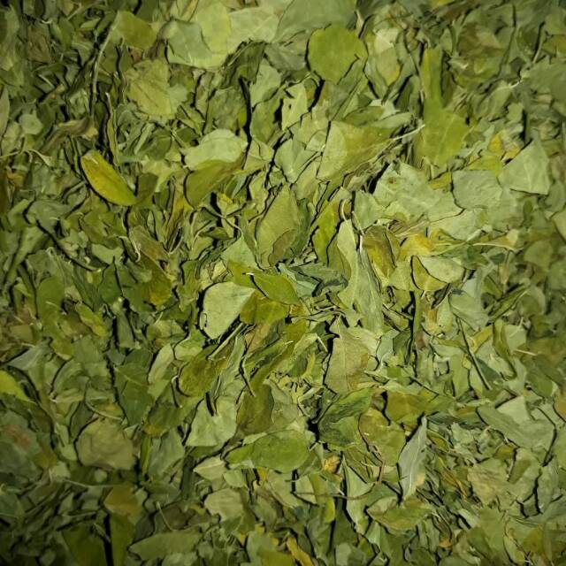 

Daun kelor 100gram 100 gram