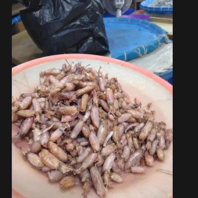 

Ikan Asin Baby Cumi 1Kg 시