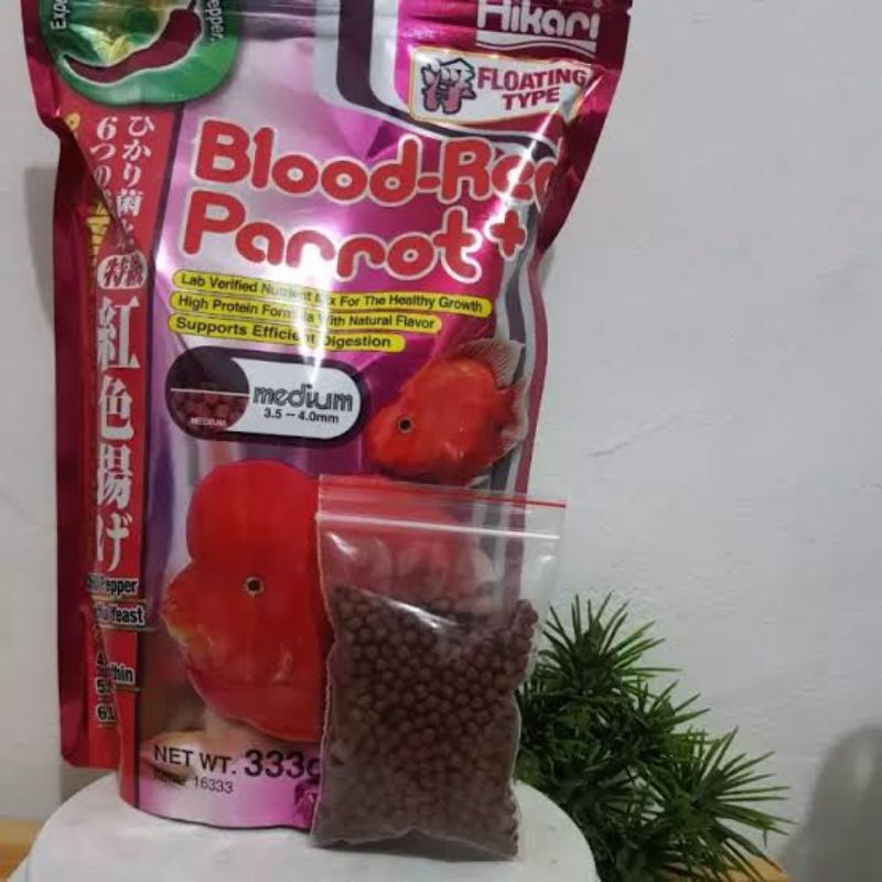 blood red parrot