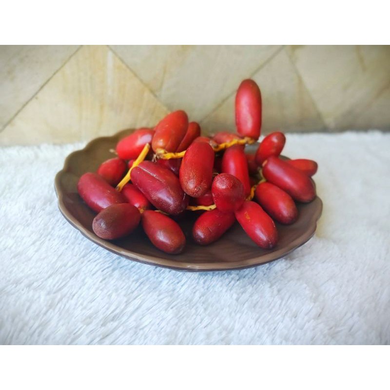 

KURMA MUDA MERAH ZAGHLUL LIMITED EDITION UNTUK PROMIL