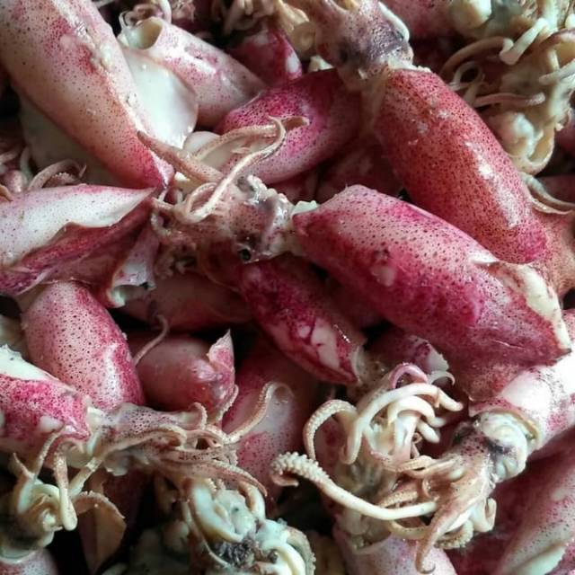 

Cumi asin 500gr
