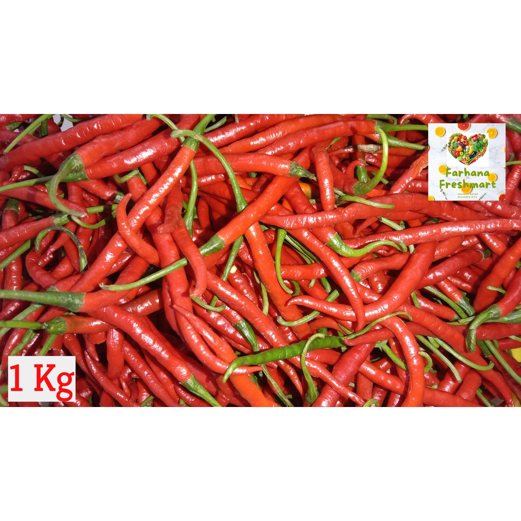 

JUAL MURAH CABE MERAH KERITING 1 KG