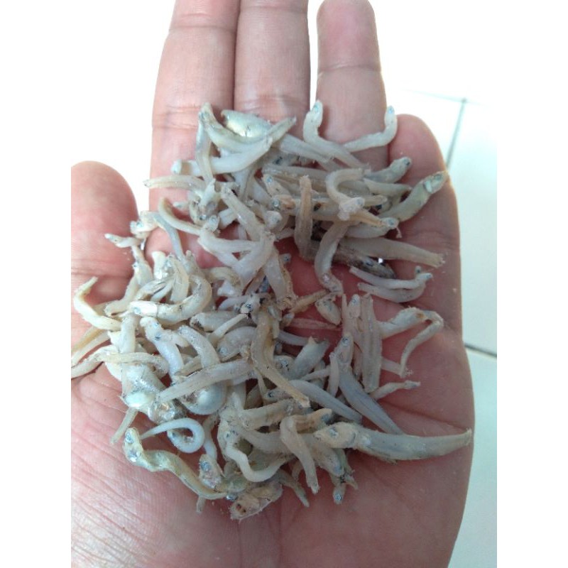 

Ikan Teri Medan 50gram