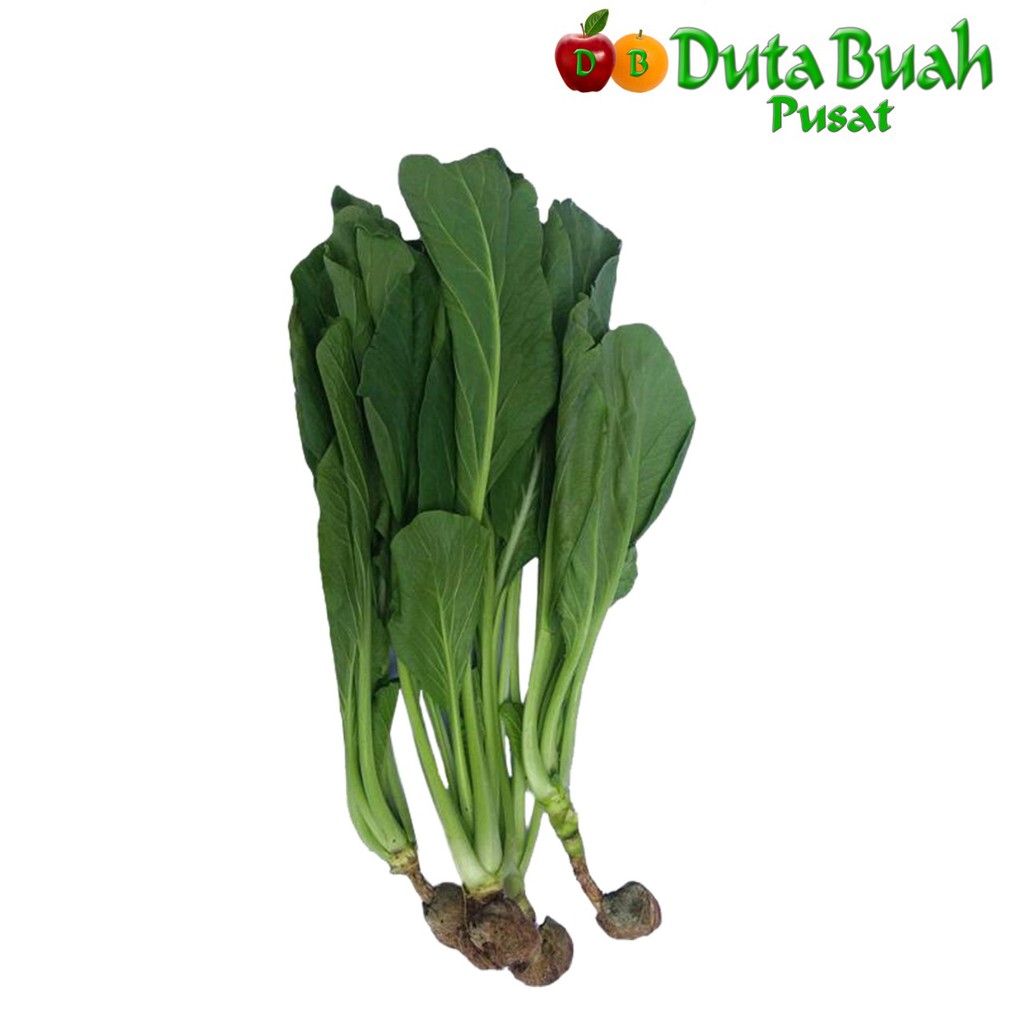 

DUTA BUAH Caysim Hydroponik 250g