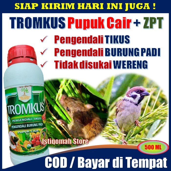 Pupuk Cair TROMKUS + ZPT Obat Semprot Pengendali TIKUS, Pengendali Burung Padi, Tidak disukai WERENG, Obat Pengusir Lalat Buah - Obat Semprot Hama Tikus dan Burung Pipit Padi Sawah - Obat Pembasmi &amp; Pengusir Tikus Burung Pipit Paling Ampuh Murah Terlaris