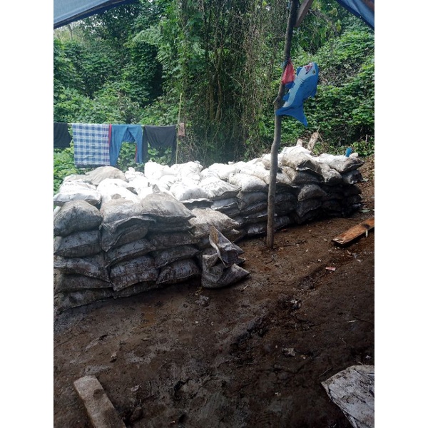 batu pirit tambang emas/chalcopyrite