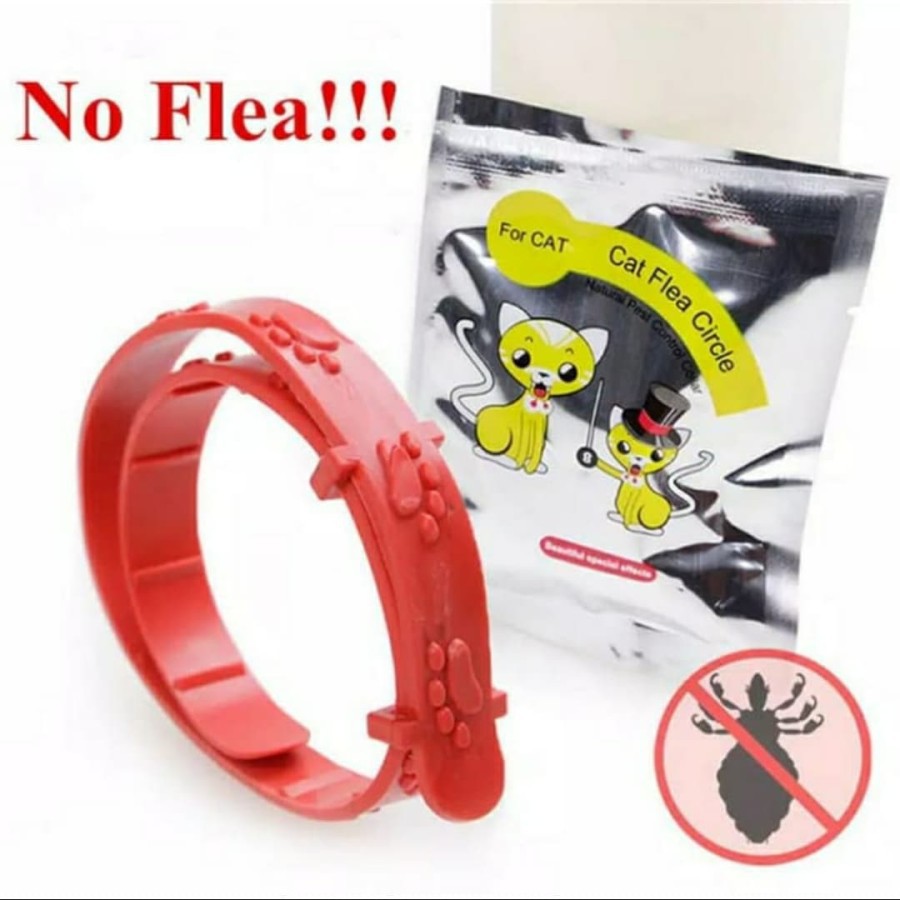 New Kalung Anti Kutu Kucing Anjing Kelinci NO FLEA Cat Flea Import FEFARM