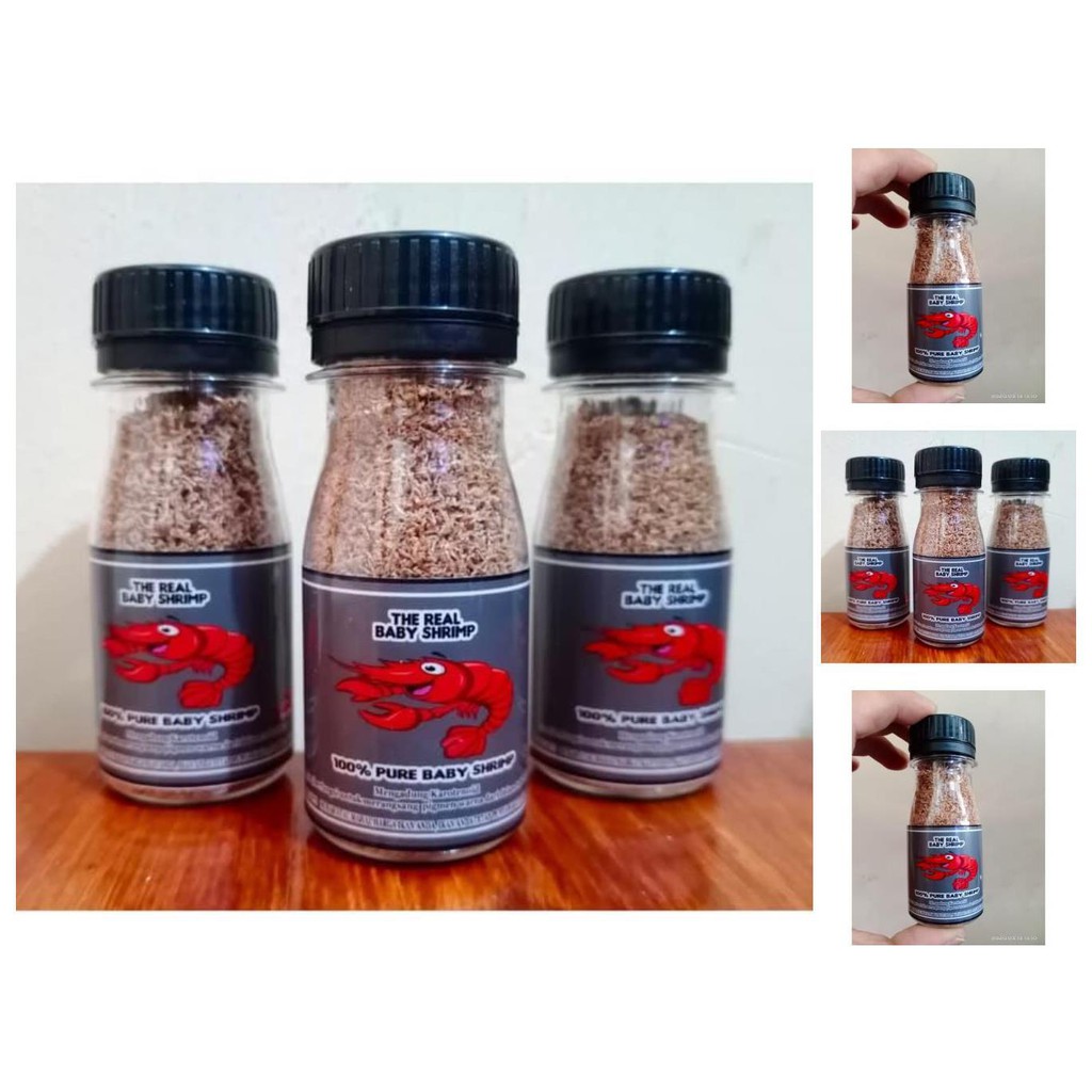 the real baby shrimp / pakan cupang baby shrimp