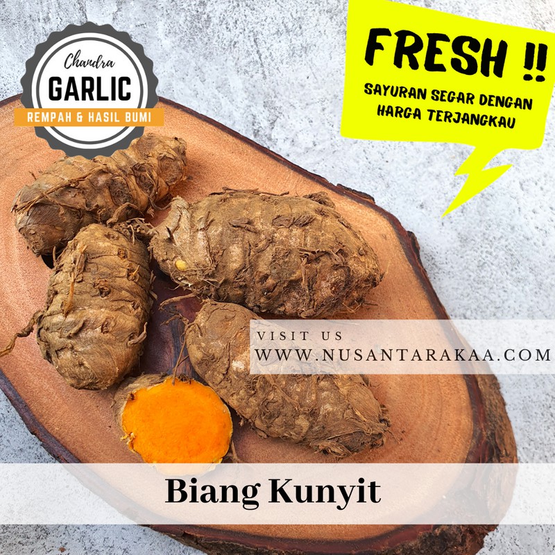 

Biang kunyit / kunyit biang 1kg