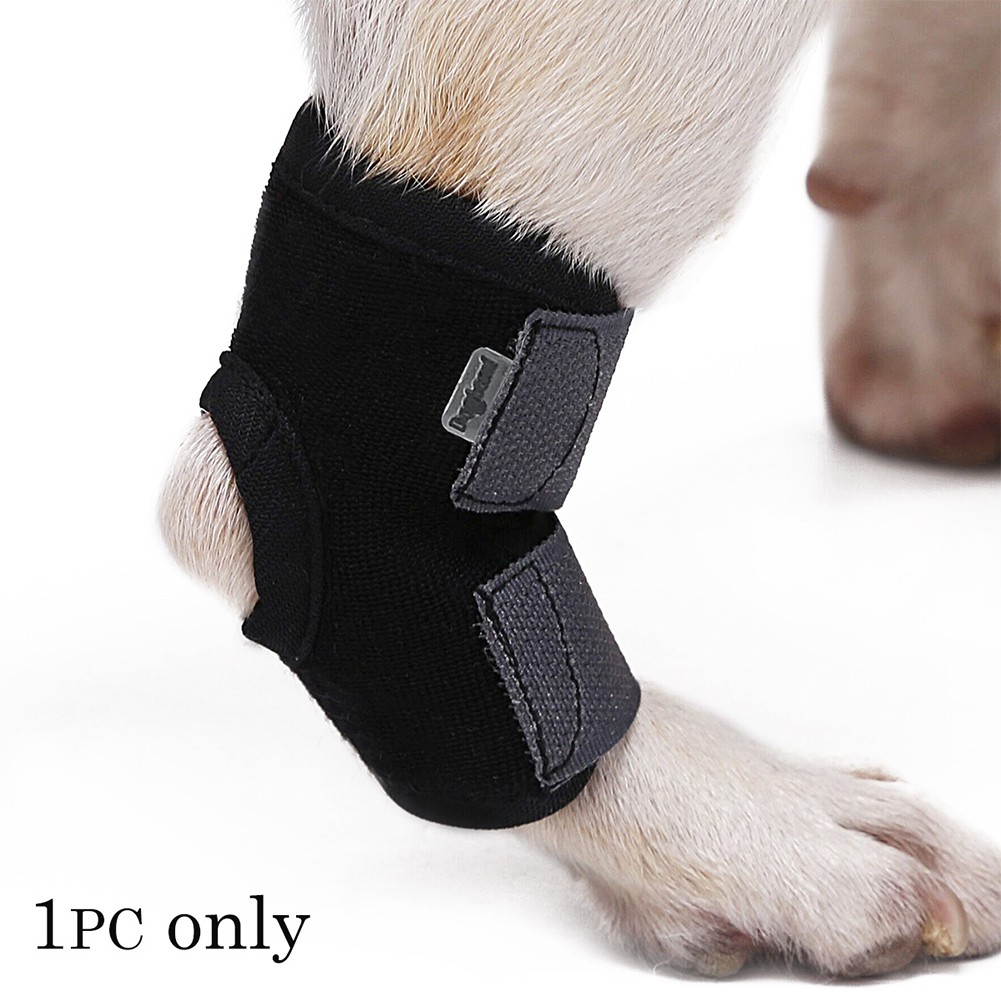 Jual Multi Pet Wound Bandage Dog Leg Brace Cat Animal Self Adherent Wrap Prevent Pet Licking Wound 1pc Indonesia Shopee Indonesia
