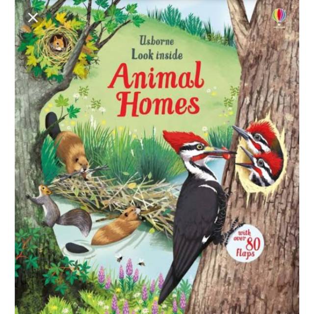 Look inside Animal Homes