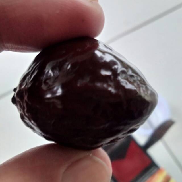 Muncang adu jabra matang